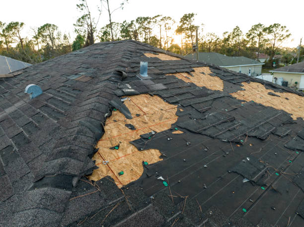 Professional Roofing Services in Como, MS